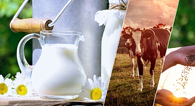 1.9 MİLYAR LİRALIK DESTEKLEME ÖDEMESİ HESAPLARA AKTARILIYOR