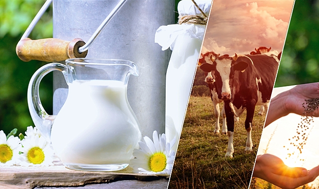 1.9 MİLYAR LİRALIK DESTEKLEME ÖDEMESİ HESAPLARA AKTARILIYOR