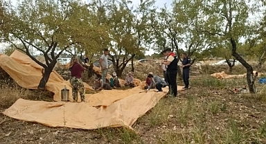 Ermenek'de Badem Hasadı