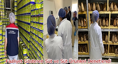 Faaliyet Gösteren Süt ve Süt Ürünleri Denetlendi