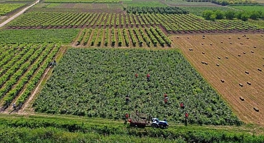 YAKLAŞIK 1,4 MİLYAR LİRALIK TARIMSAL DESTEK ÖDEMESİ ÇİFTÇİLERİN HESAPLARINA AKTARILIYOR