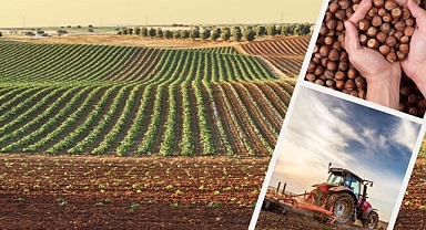 1 MİLYAR 35 MİLYON LİRALIK DESTEKLEME ÖDEMESİ ÇİFTÇİLERİN HESAPLARINA AKTARILIYOR
