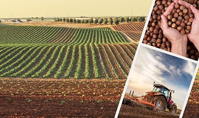 1 MİLYAR 35 MİLYON LİRALIK DESTEKLEME ÖDEMESİ ÇİFTÇİLERİN HESAPLARINA AKTARILIYOR