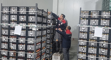 ''Karaman Elması Dünyanın Her Yerinde''