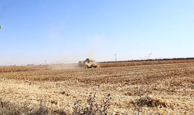 MISIR HASADINDA SONA DOĞRU