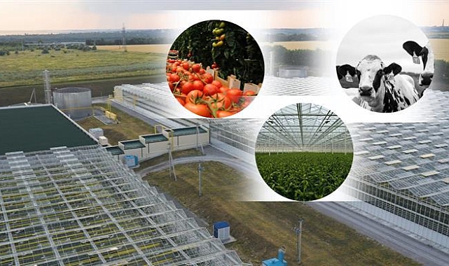 ORGANİZE TARIM BÖLGELERİ İÇİN YATIRIM REHBERİ HAZIRLANDI