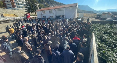 Ermenek İlçesinde Fidan Dağıtımı