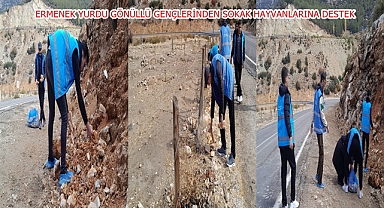 ERMENEK YURDU GÖNÜLLÜ GENÇLERİNDEN SOKAK HAYVANLARINA DESTEK