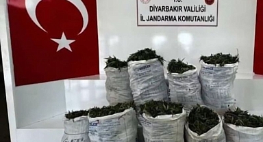 NARKOÇELİK-46 Operasyonlarında 2 Ton 3 Kg Uyuşturucu Ele Geçirildi