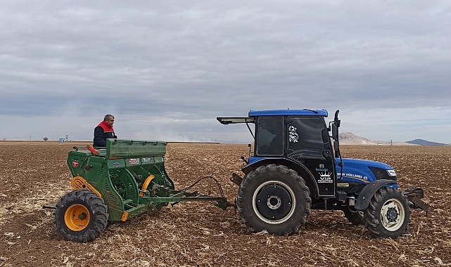 YERLİ BUĞDAY ÇEŞİTLERİ SULU ALANLARDA DENENİYOR