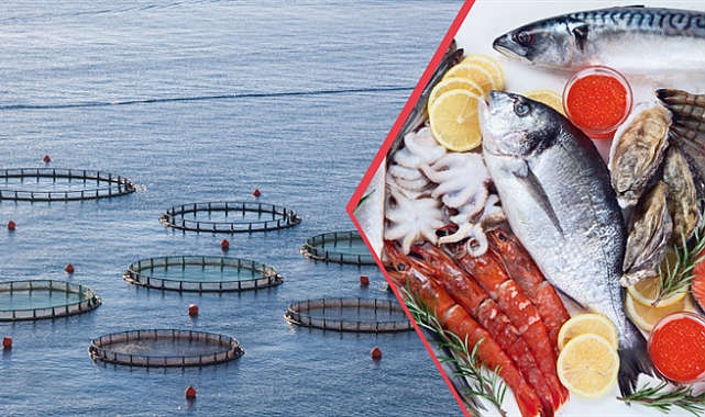 SU ÜRÜNLERİ İHRACATINDA REKOR