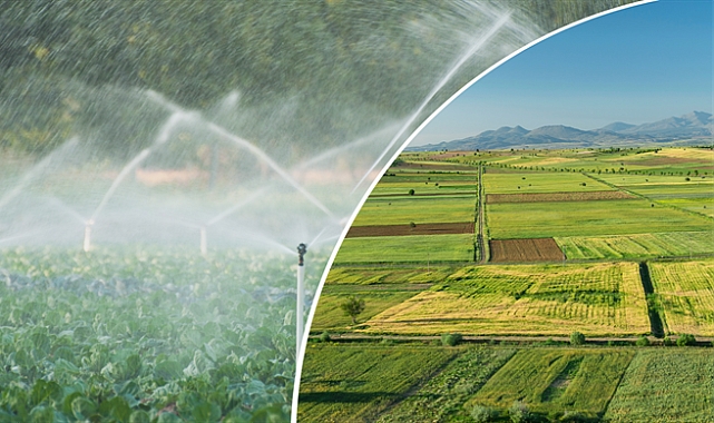 ÇİFTÇİLERE 2,6 MİLYAR LİRALIK DESTEK ÖDEMESİ YARIN YAPILACAK