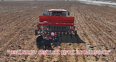 ''YERLİ NOHUT ÇEŞİTLERİ ÇİFTÇİ İLE BULUŞUYOR''