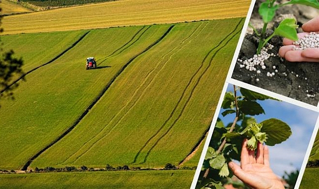 5 MİLYAR 948 MİLYON LİRALIK DESTEKLEME ÖDEMESİ BUGÜN HESAPLARA AKTARILACAK