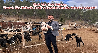 BAŞKAN ADAYLARI OY PUSULASI RENK SEÇİMİ YAPILDI