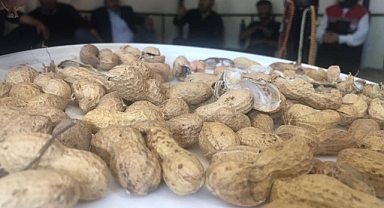 GÖKSU’DA FISTIĞIN LEZZETİ PROJESİ
