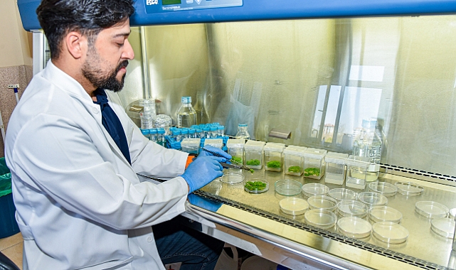 TÜBİTAK DESTEKLİ ÇEVRE VE SAĞLIK ODAKLI BİR YENİLİK