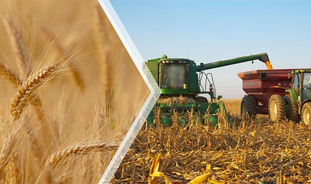 YAKLAŞIK 6.7 MİLYAR LİRALIK DESTEKLEME ÖDEMESİ BUGÜN ÇİFTÇİLERİN HESAPLARINA AKTARILIYOR