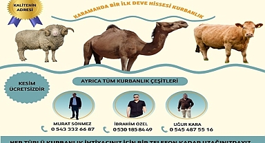 Kurban Bayramı’na Özel Deve Hissesi Satışı Başladı
