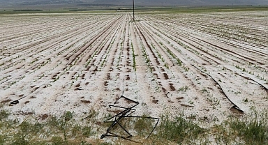 Merkez ve Kazımkarabekir İlçelerinde Dolu ve Aşırı Yağış Tarım Alanlarına Zarar Verdi