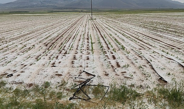 Merkez ve Kazımkarabekir İlçelerinde Dolu ve Aşırı Yağış Tarım Alanlarına Zarar Verdi