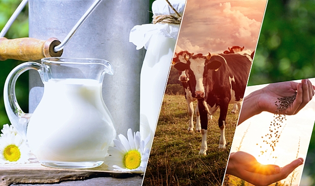 YAKLAŞIK 3 MİLYAR 91 MİLYON LİRALIK DESTEKLEME ÖDEMESİ HESAPLARA AKTARILIYOR