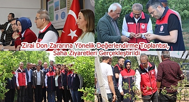 Zirai Don Zararına Yönelik Değerlendirme Toplantısı ve Saha Ziyaretleri Gerçekleştirildi
