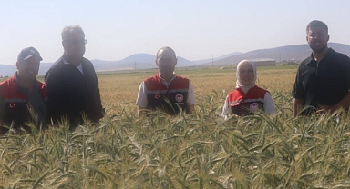 BURUNOBA KÖYÜNDE DEDE YADİGÂRI ATA TOHUMLARININ DENEMESİ YAPILDI