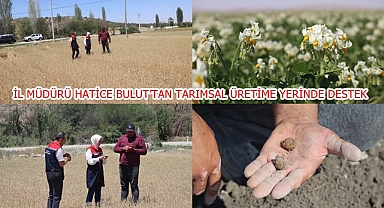 İL MÜDÜRÜ HATİCE BULUT’TAN TARIMSAL ÜRETİME YERİNDE DESTEK