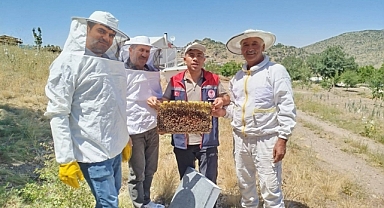 İlimizde Ana Arı Yetiştiriciliği Yapan Üreticilere Kovan ve Ana Arı Kontrolü