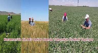 Karaman’da 21.443 Dekar Alanda Tohumluk Üretimi Yapılıyor