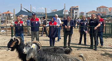Kurban Pazarında İncelemelerde Bulunuldu