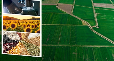 1.7 MİLYAR LİRALIK DESTEKLEME ÖDEMESİ BUGÜN HESAPLARA AKTARILIYOR