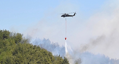 6 Haziran – 4 Temmuz 2025 Tarihleri Arasında 65 Orman Yangını Meydana Geldi: 44 Şüpheli Gözaltında, 10’u Tutuklandı