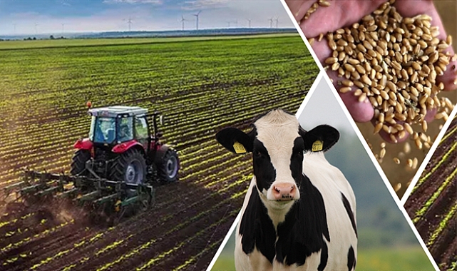 865 Milyon Liralık Tarımsal Destekleme Ödemesi Bugün Hesaplara Yatırılıyor