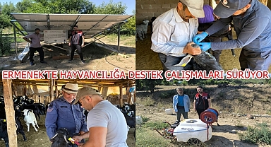 ERMENEK’TE HAYVANCILIĞA DESTEK ÇALIŞMALARI SÜRÜYOR