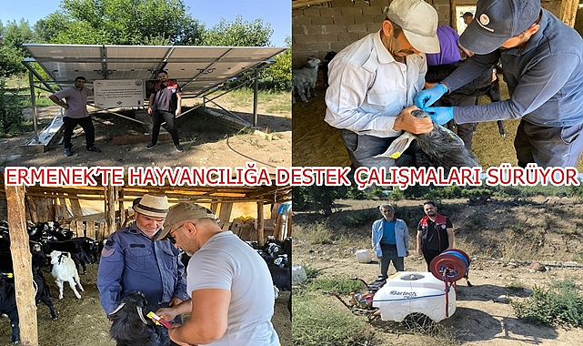 ERMENEK’TE HAYVANCILIĞA DESTEK ÇALIŞMALARI SÜRÜYOR