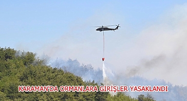 KARAMAN'DA ORMANLARA GİRİŞLER YASAKLANDI
