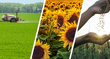 116 Milyon Liralık Tarımsal Destekleme Ödemesi Hesaplara Aktarılıyor