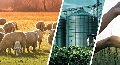 773 Milyon Liralık Tarımsal Destekleme Ödemesi Çiftçilerin Hesaplarına Aktarılıyor