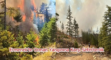 Ermenek’te Orman Yangınına Karşı Seferberlik