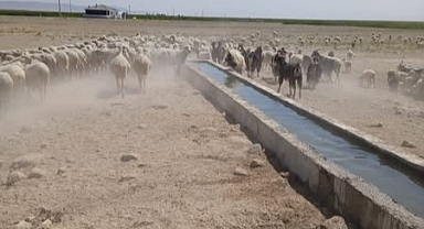 Hamidiye Köyünde Mera Islah Projesi Tamamlandı