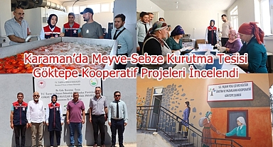 Karaman’da Meyve-Sebze Kurutma Tesisi ve Göktepe Kooperatif Projeleri İncelendi