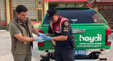 Karaman’ın Doğal Hayatı Güvenli Ellerde