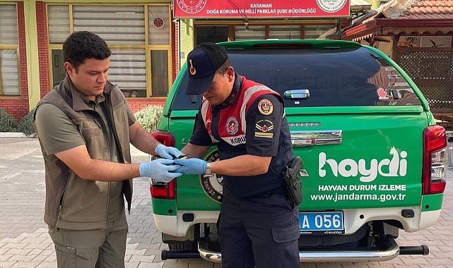 Karaman’ın Doğal Hayatı Güvenli Ellerde