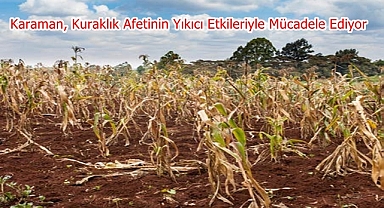 Karaman, Kuraklık Afetinin Yıkıcı Etkileriyle Mücadele Ediyor