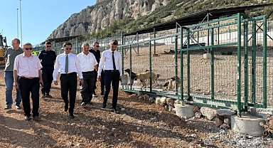 “Sahipsiz Hayvan Bakımevi ve Rehabilitasyon Merkezi”nde İncelemelerde Bulunuldu