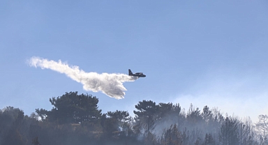 Alanya Yangını Tamamen Kontrol Altında