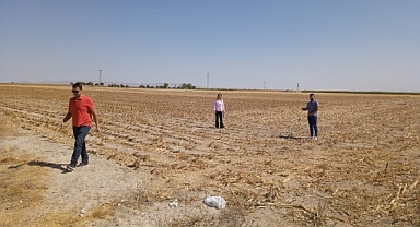 Karaman’da Silajlık Mısır Üretim Alanlarında Destekleme Kontrolleri Yapıldı