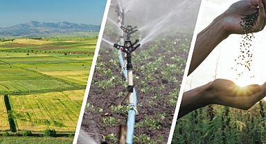 Tarım ve Orman Bakanlığı’ndan Çiftçilere 48 Milyon Liralık Destek Ödemesi